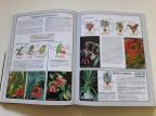 Sobno bilje - Mala vrtlarska enciklopedija