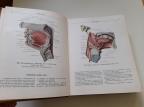 Atlas anatomije čoveka II na ruskom jeziku