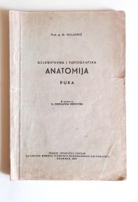 Deskriptivna i topografska anatomija-ruka, 1947.