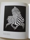 Grafike i objekti - Victor Vasarely