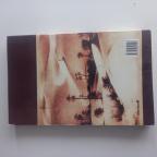 Transsaharska železnica - Radoslav Nedić