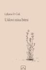 Uslovi nisu bitni Uslovi nisu bitni