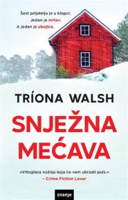 Snježna mećava