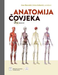 Anatomija čovjeka, III izdanje