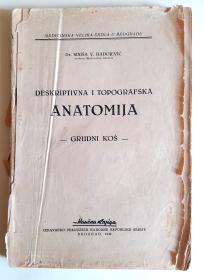 Deksriptivna i topografska anatomija- grudni koš, 1949
