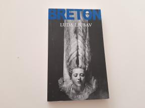 Luda ljubav