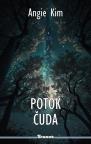 Potok čuda