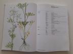Dicot weeds 1 - Dikotiledoni korovi 13 porodica