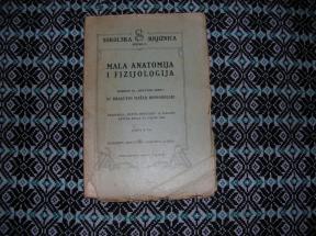 Mala anatomija i fiziologija
