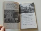 Srbi u gradovima Srema 1790-1848