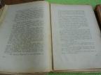 Idiot 1. 2. 3. i 4. deo (dve knjige) - Moderna knjižnica  - oko 1925.