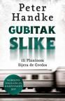 Gubitak slike ili Planinom Sijera de Gredos Gubitak slike ili Planinom Sijera de Gredos