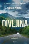 Divljina Divljina