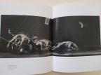Bonifacho blackboards and related works 1978-1992