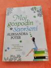 Moj gospodin savršeni