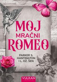 Moj mračni anđeo
