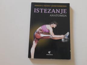 Istezanje - anatomija