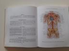 Atlas anatomije čoveka II na ruskom