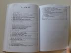 Neštin - Tragovi u vremenu