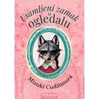 Usamljeni zamak u ogledalu