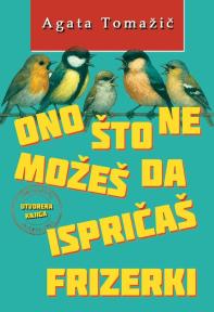Ono što ne možeš da ispričaš frizerki