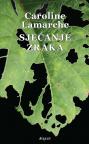 Sjećanje zraka