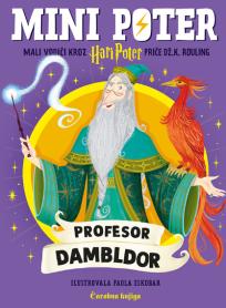 Mini Poter: Profesor Dambldor
