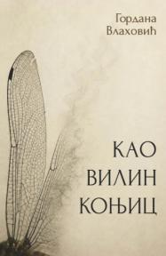 Kao vilin konjic